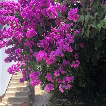 Charming New House On Islandfew Steps From The Sea